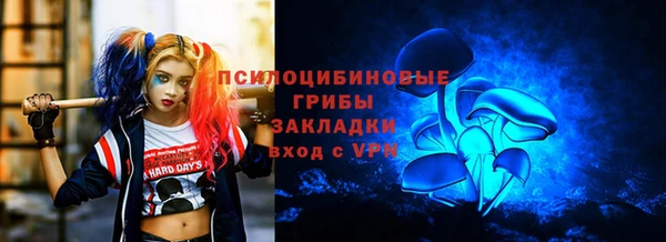 стаф Заволжск