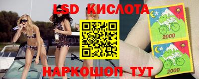 тгк Камышлов