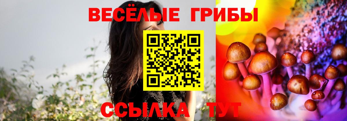 Галлюциногенные грибы ЛСД  Псилоцибиновые грибы Psilocybine cubensis  Вход с VPN  Северобайкальск 
